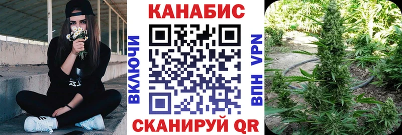Шишки марихуана индика Гвардейск